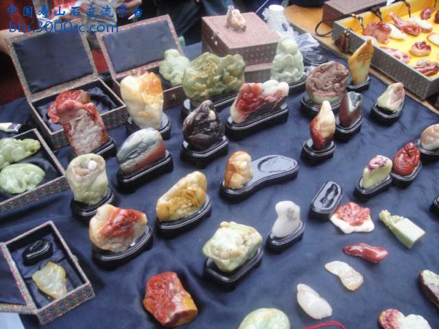 DSC01408.JPG