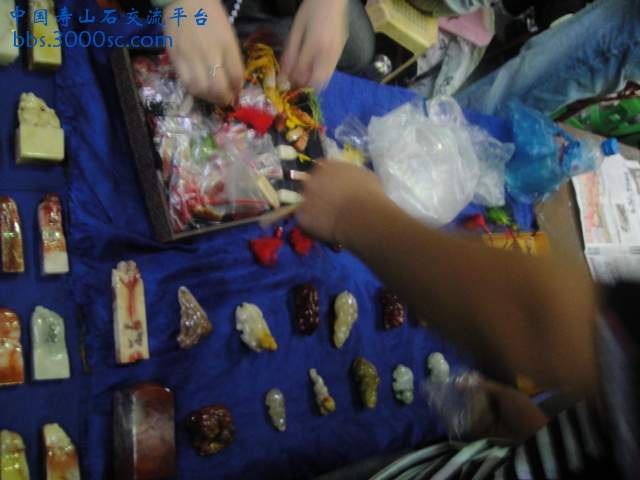 DSC01033.JPG