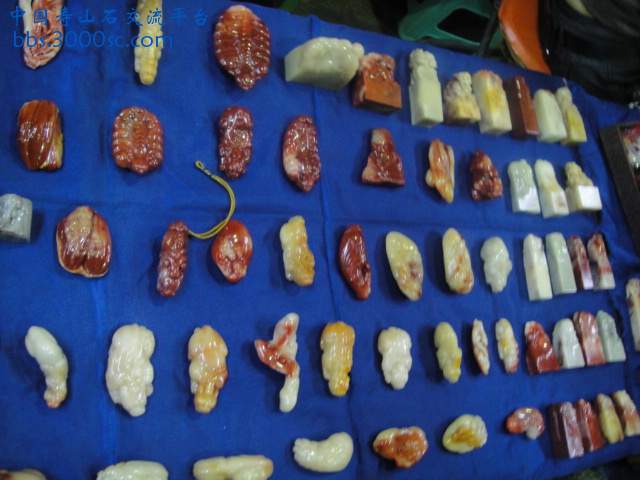 DSC01032.JPG