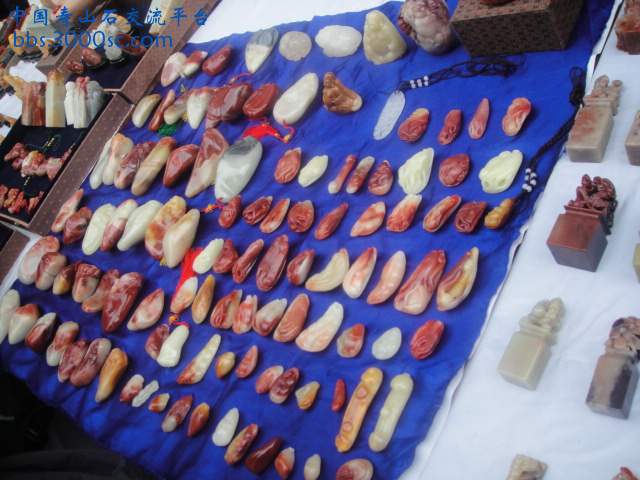 DSC01411.JPG