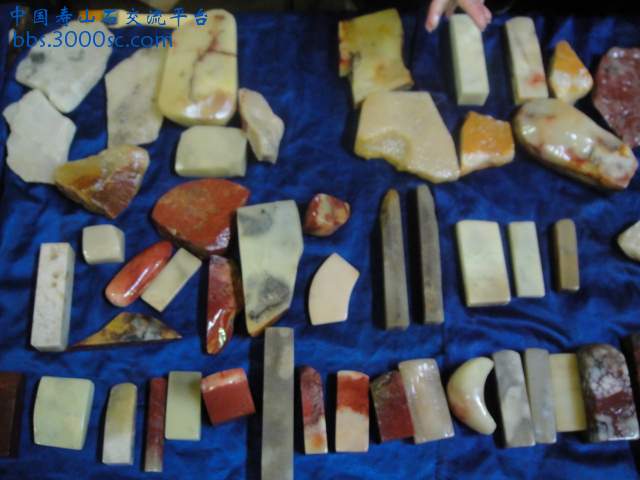 DSC01037.JPG