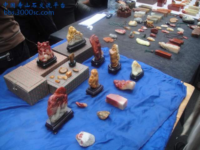 DSC01413.JPG