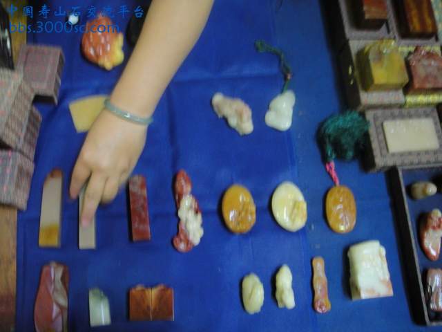 DSC01038.JPG