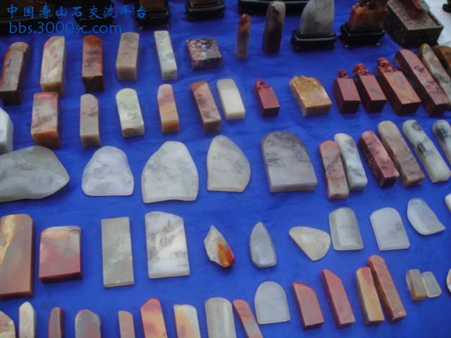 DSC01418.JPG