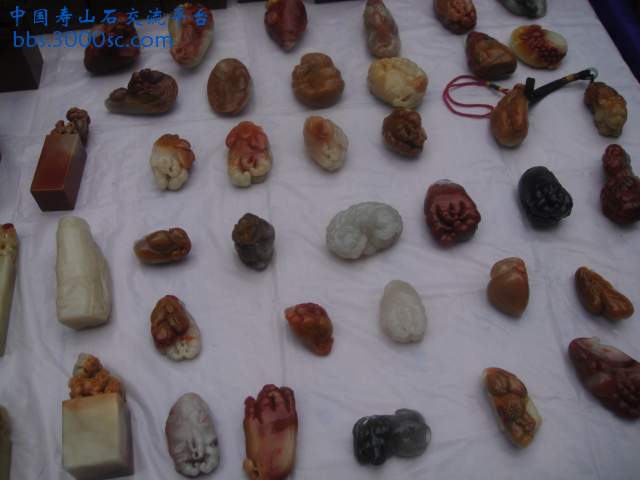 DSC01417.JPG