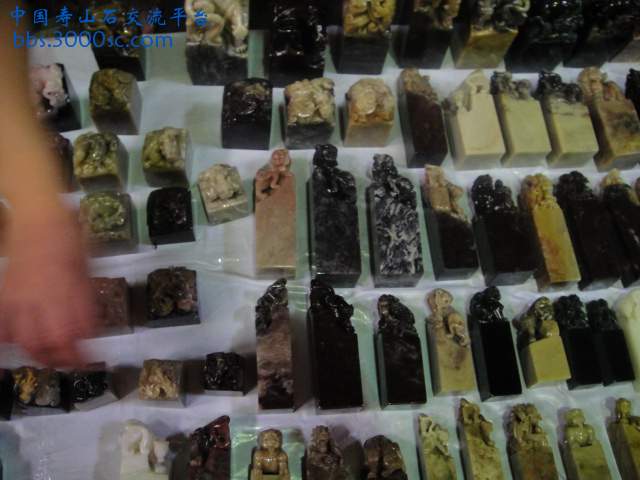 DSC01047.JPG