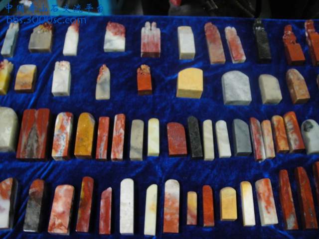 DSC01045.JPG