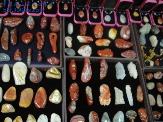 DSC01046.JPG