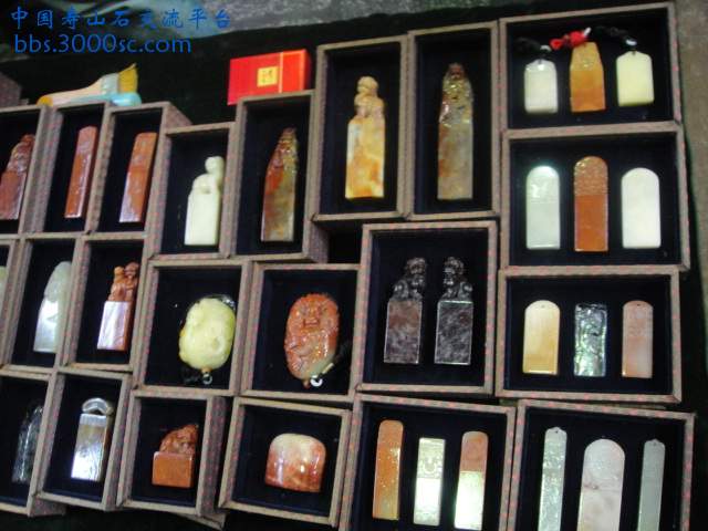 DSC01048.JPG