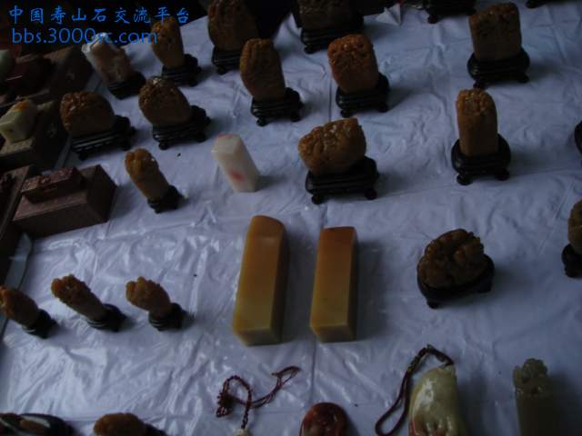 DSC01433.JPG