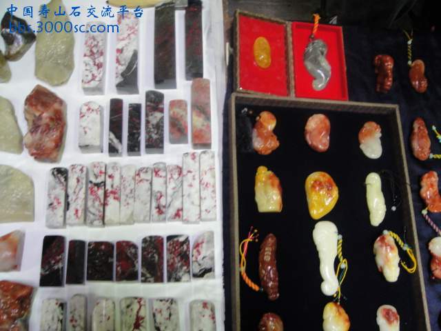 DSC01055.JPG