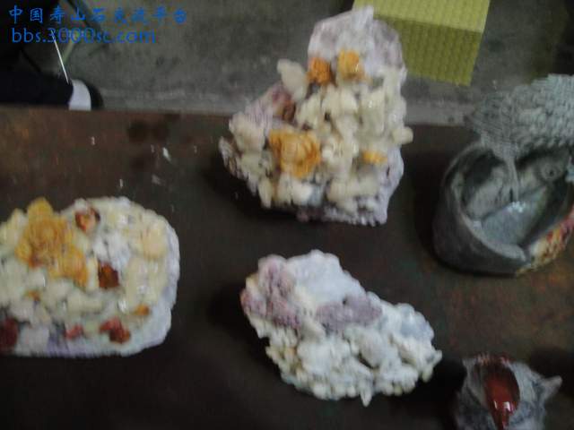 DSC01059.JPG