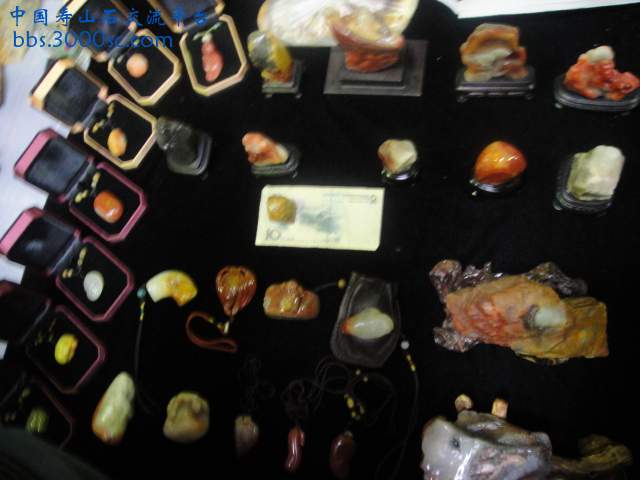 DSC01061.JPG