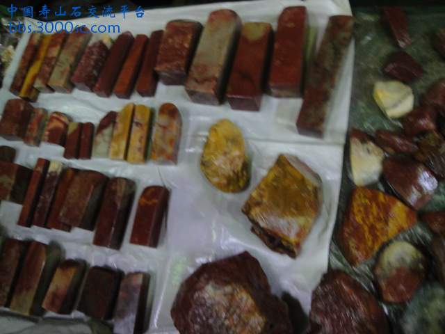 DSC01063.JPG