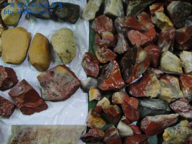 DSC01062.JPG