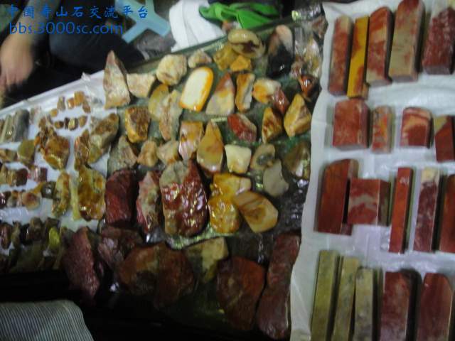 DSC01064.JPG