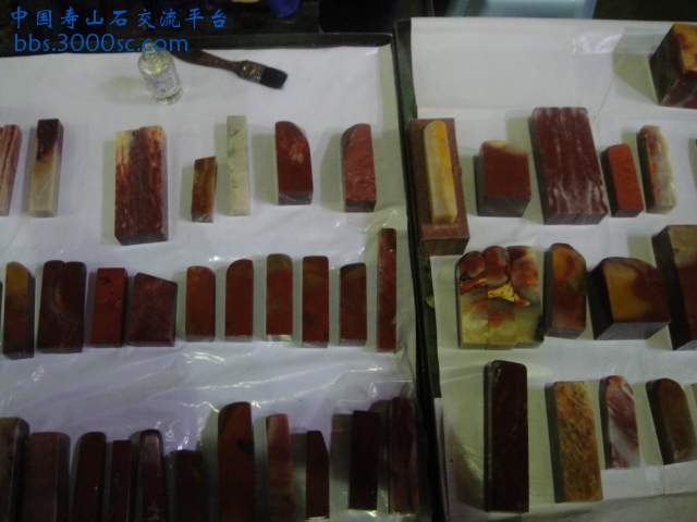 DSC01069.JPG