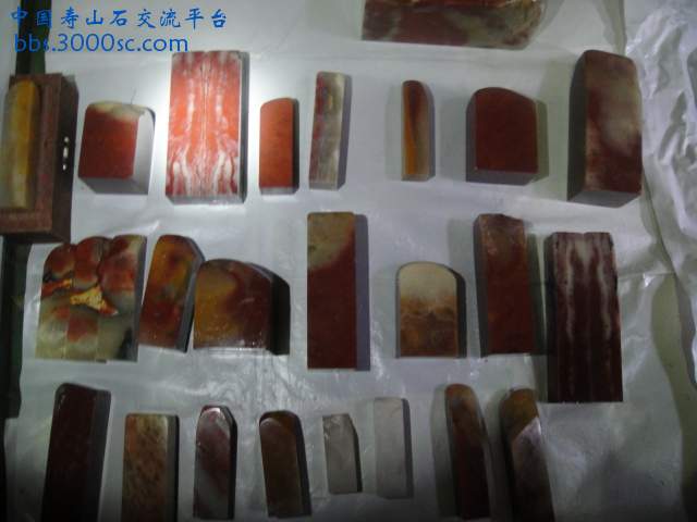 DSC01071.JPG