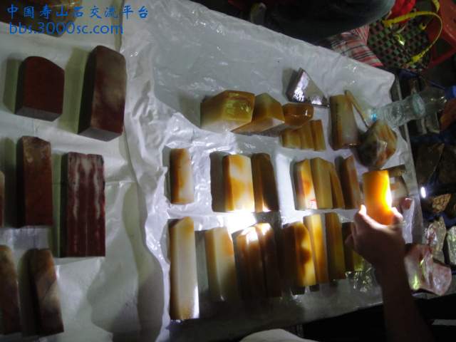 DSC01070.JPG