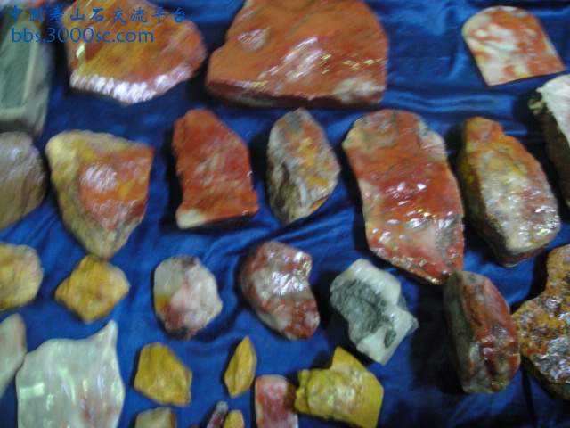 DSC01073.JPG