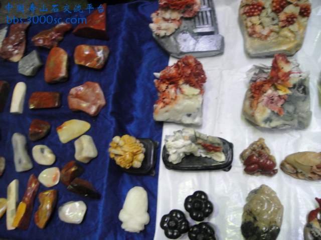 DSC01076.JPG