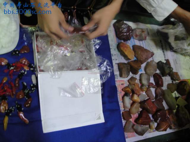 DSC01075.JPG