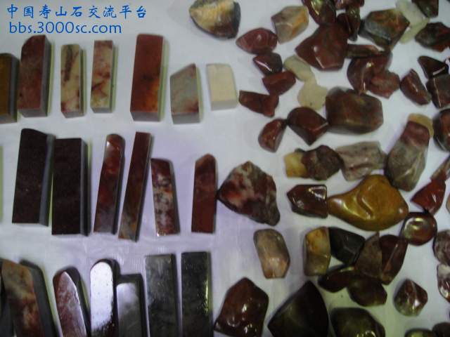 DSC01077.JPG