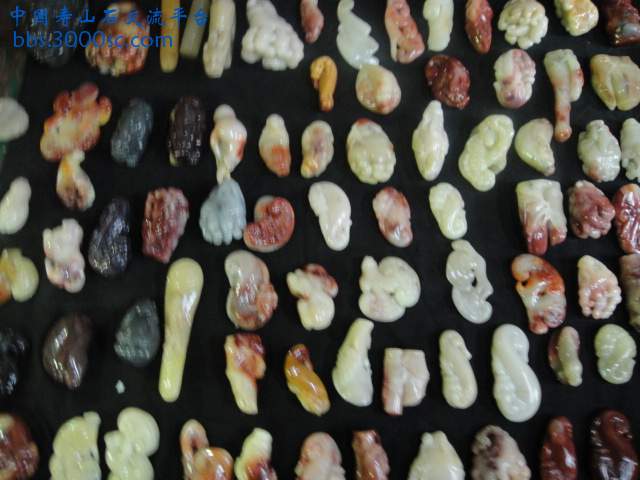DSC01080.JPG