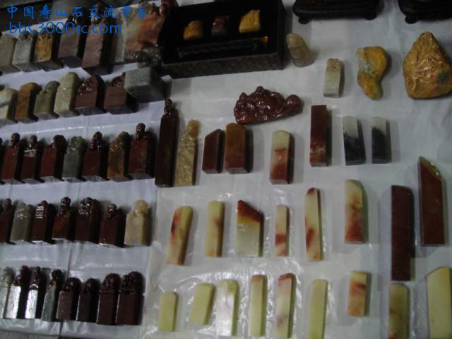 DSC01079.JPG