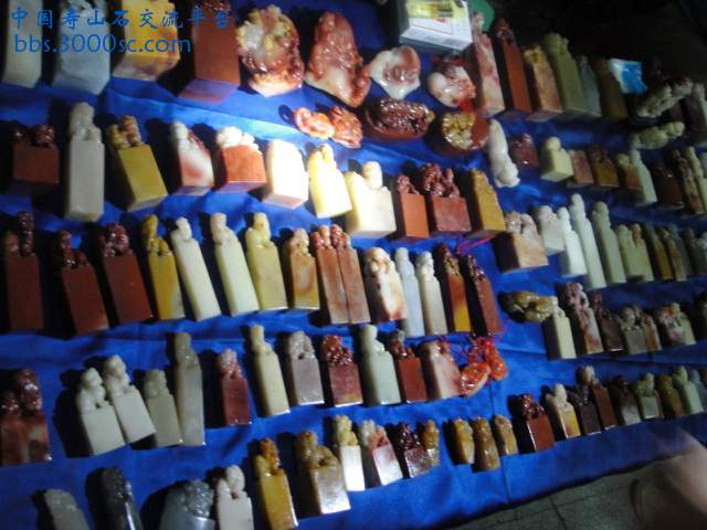 DSC01081.JPG