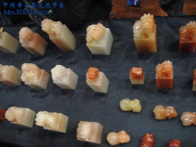 DSC01112.JPG