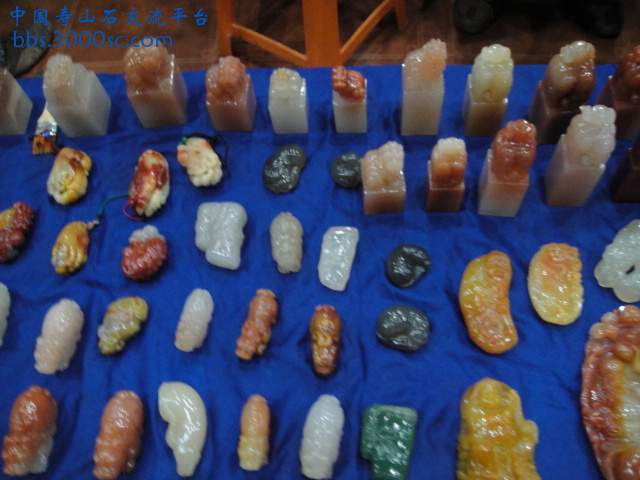 DSC01113.JPG
