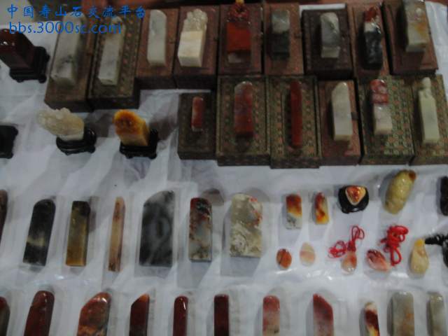 DSC01114.JPG