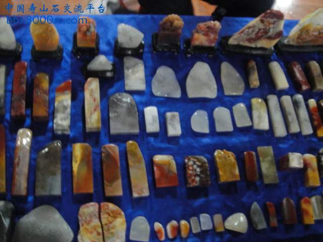 DSC01115.JPG