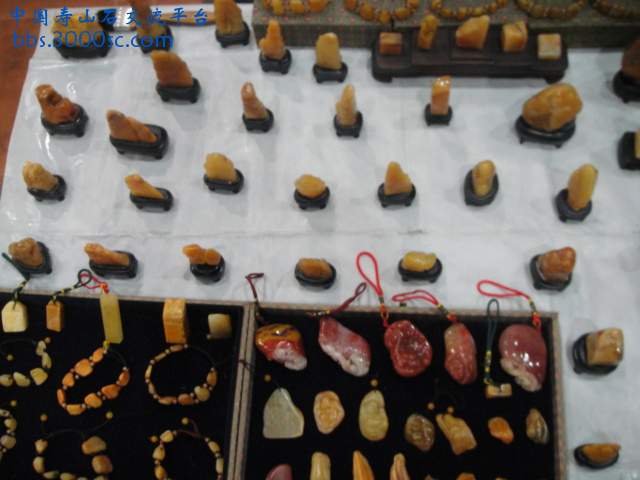 DSC01117.JPG