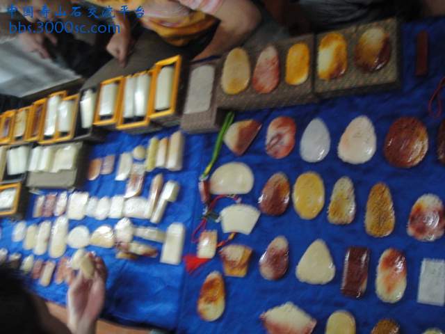 DSC01120.JPG