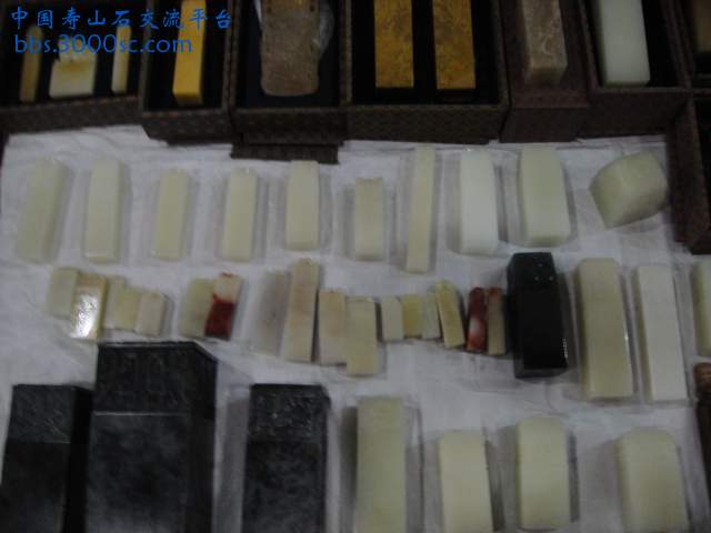 DSC01119.JPG