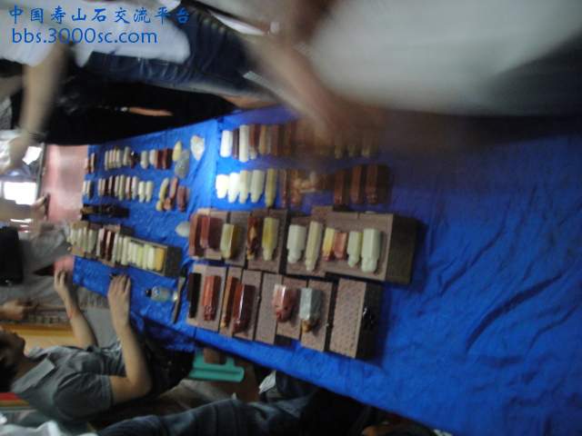 DSC01128.JPG