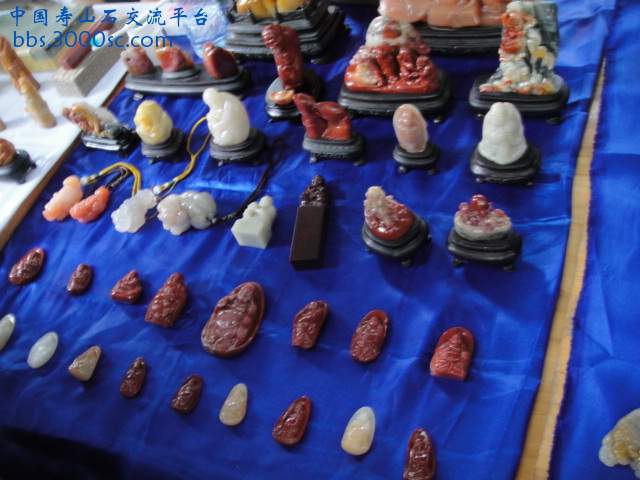 DSC01540.JPG