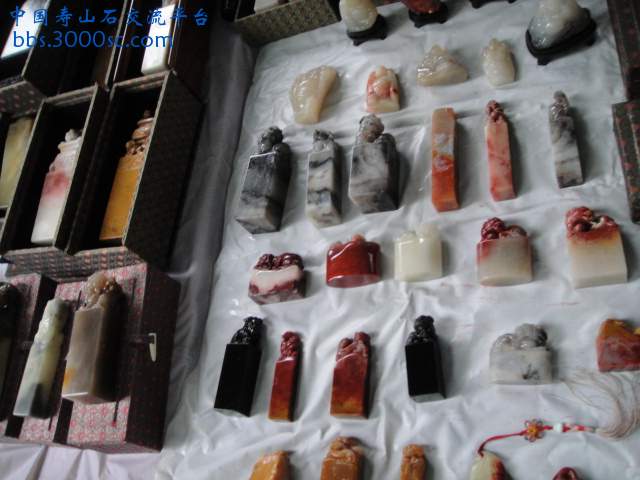 DSC01543.JPG