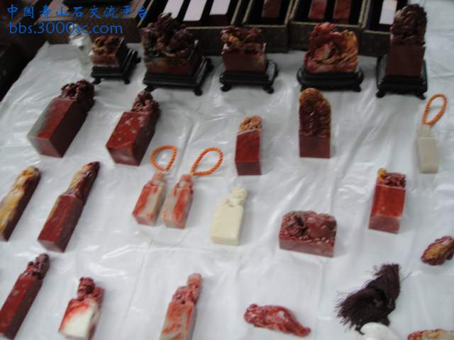 DSC01547.JPG