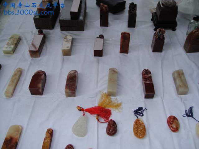 DSC01546.JPG
