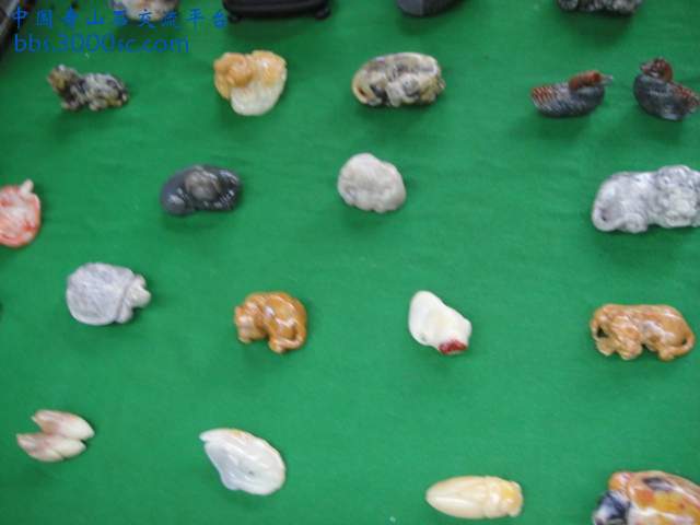 DSC01552.JPG