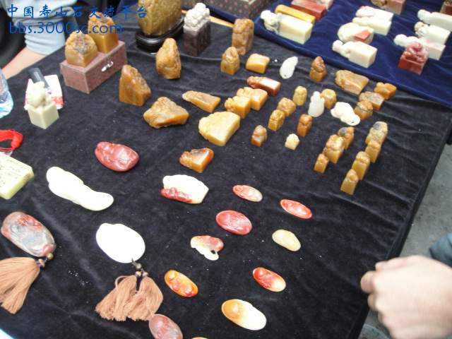 DSC01555.JPG