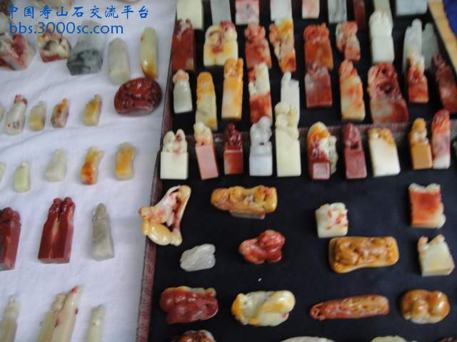 DSC01560.JPG