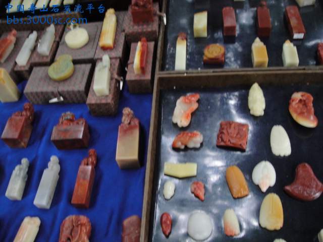 DSC01565.JPG