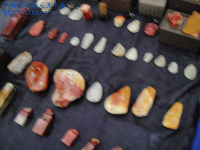 DSC01566.JPG