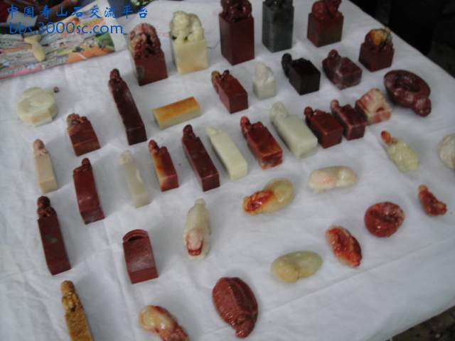 DSC01571.JPG