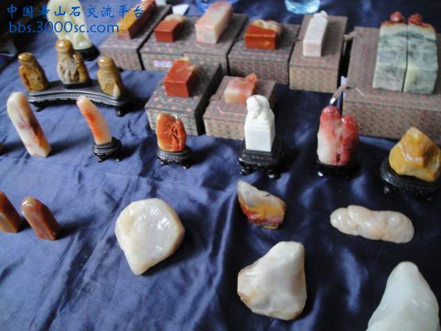 DSC01573.JPG