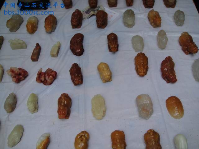 DSC01579.JPG